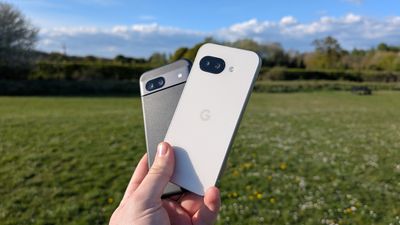 I put the Pixel 9a and Pixel 8a through a 9-round, 100-photo camera face-off — and the results were surprising