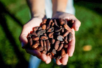 Bitter truth: Why has chocolate become so expensive?