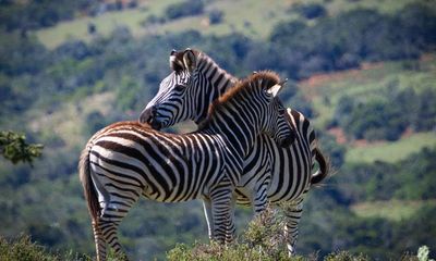 Escape from Extinction: Rewilding review – the case for eco-tourism and trophy hunting