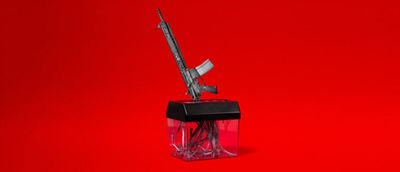Son of a Gun: What to Do with a Legacy of (Unwanted) Firearms