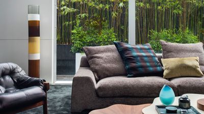 These Are the Dos and Don'ts of Bamboo Plant Placement — Follow This to Avoid Bad Feng Shui