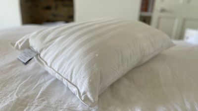 Is a silk pillow better than a silk pillowcase? I swapped mine out and saw some impressive results