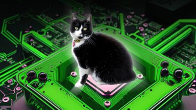 Schrödinger's cat-inspired quantum computing now 160 times more reliable thanks to new discovery