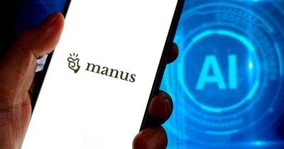 This New Feature from Manus Can Save You Hours of Data Work