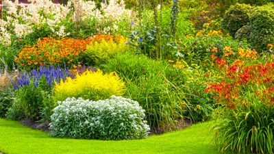 What is an island bed? This clever garden design trick can add privacy and drama to any backyard