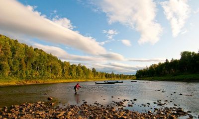 Banned DDT discovered in Canadian trout decades after use, research finds