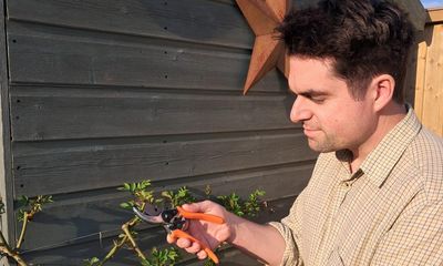 How to garden in spring (and the best tools for the job)