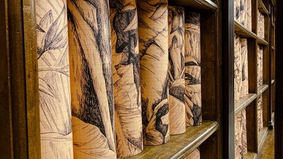 The Vatican's Apostolic Library set to host old and new art exhibitions to 'reflect diversity'