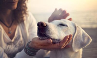People find relationship with their dog more satisfying than with best friend, study shows