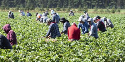 Canada’s new immigration policy favours construction workers but leaves the rest behind