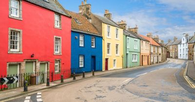 'Alternative' Scottish region named one of the UK's best dog-friendly holidays