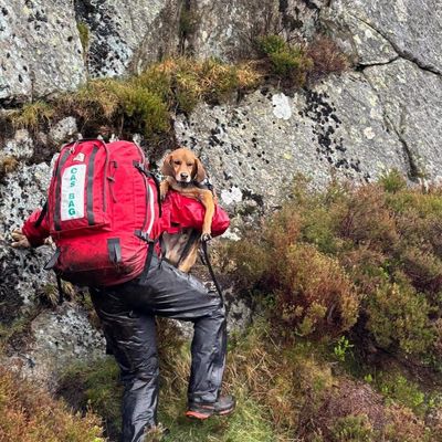 Hiker Rescued After His Dog 'Pushed' Him and Sent Him Tumbling Down Mountain