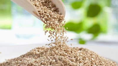 How to grow sesame plants and harvest nutrient-rich seeds for snacking, cooking, or baking