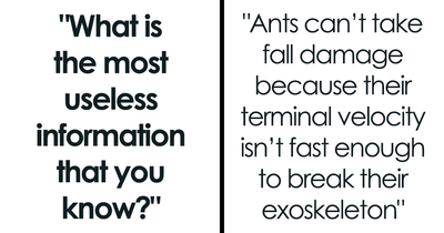 22 Useless Facts That Will Just Take Up Space In Your Head, Unless You’re A Random Trivia Fanatic