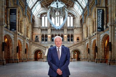 Sir David Attenborough to present immersive experience at Natural History Museum
