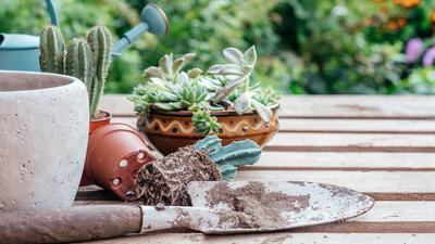 I love to garden, and these are the 7 tools I use all the time