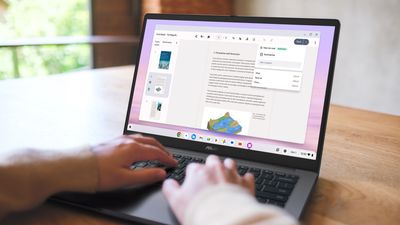 Asus CX14, CX15 Chromebook Plus announced with big displays and Google AI