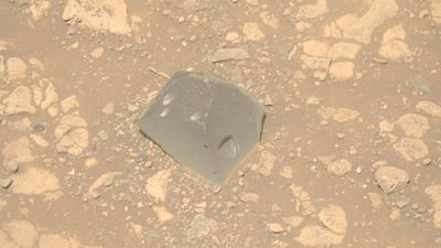 NASA rover discovers out-of-place 'Skull' on Mars, and scientists are baffled