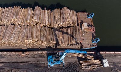 Sanctioned Russian and Belarusian wood smuggled into UK, study suggests