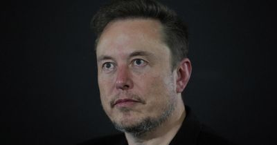 Elon Musk to reduce role at Doge as Tesla struggles to sell cars