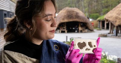 Fragments of prehistoric textile found in loch go on show for first time