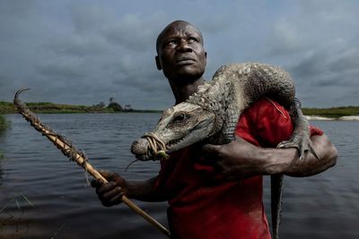 A dwarf crocodile carried home by a hunter: Thomas Nicolon’s best photograph