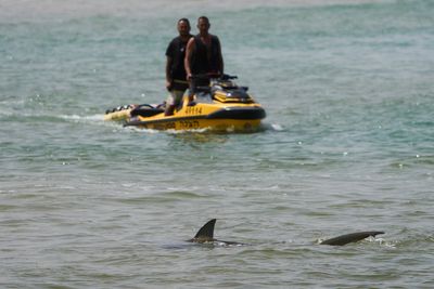 Father of four’s remains found after shark attack off Israel beach
