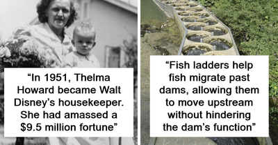 39 ‘Unbelievable Facts’ To Make You The Most Interesting Person In The Room