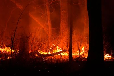 New Jersey faces biggest wildfire in 20 years as more than 11,000 acres burn. Here’s what we know