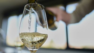 Traces of 'forever chemical' found in European wines, new study reveals