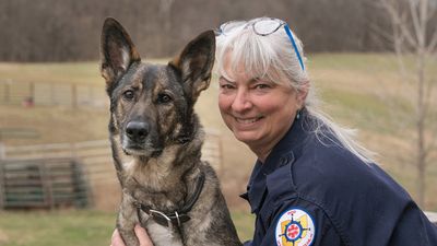 Volunteer K9 Besa is only dog in the US to be awarded special ‘Human Trafficking’ qualification –and she might just be the coolest dog we know!