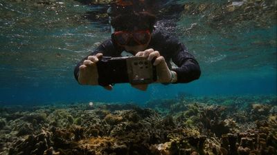 Samsung's exclusive camera feature on the Galaxy S24 Ultra is restoring Coral Reefs