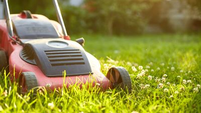 7 essential lawnmower tips to help keep it running like new