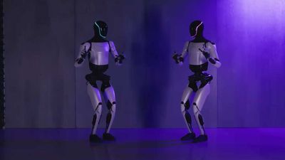 Elon says Tesla humanoid robots impacted by China's export ban on rare earth minerals — Optimus production is delayed due to a 'magnet issue'