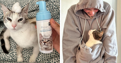 If Your Camera Roll Is 90% Cat Photos, You Need To See These 26 Purrfect Find
