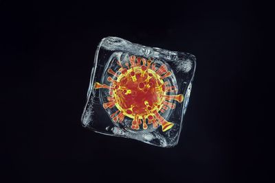 Prepping for diseases from melting ice