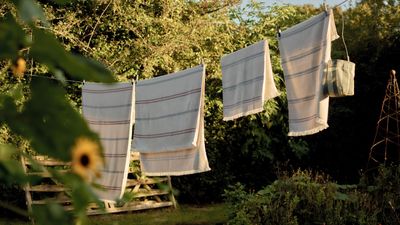 Should you dry your clothes outside if you have hayfever? Allergy specialists warn sufferers to steer clear of this 'major trigger'