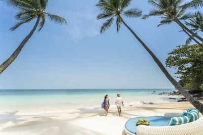 Travellers in Thailand will now need ‘arrival card’ as HBO’s White Lotus boosts tourism