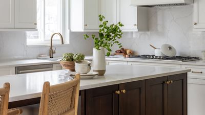 5 Home Reno Projects You Should Never Do By Yourself — Especially if You Want to Avoid Costly Mistakes