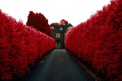 Secrets of England’s ‘most haunted village’ revealed in new research