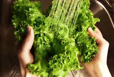 Grower named in E. coli lettuce outbreak