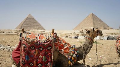 Egypt travel: Pyramids of Giza revamp project hopes to curb congestion and aggressive vendors