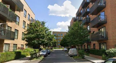 Murder investigation launched after man found dead in west London