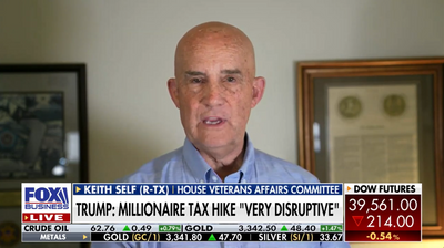 Republican Senator Insists Cutting Medicaid Is a 'Scare Tactic' Meant 'To Get Able-Bodied Adults Working'