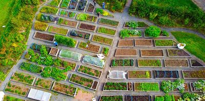 How growing and foraging food can become a common part of cities