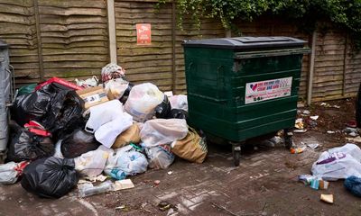 Unequal pain of Birmingham’s bin strike