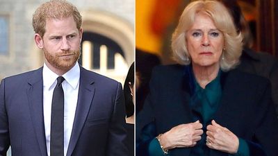 Queen Camilla 'boiling with rage' over thoughts of Harry's return to the royal family