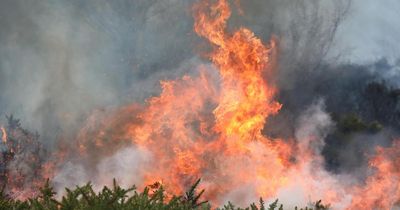Emergency crews tackle wildfire in Highlands