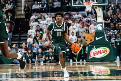 NBA Draft 2025: Jase Richardson Scouting Report, NBA Comp