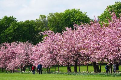 Temperatures could reach up to 10C above average in England and Wales next week